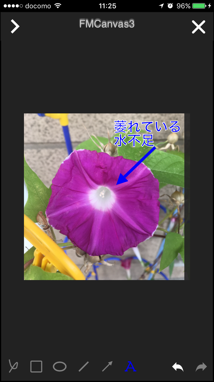 購入テスト用商品