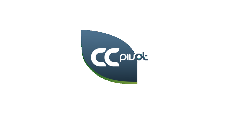 ccPivot3 日本語データ付デモ